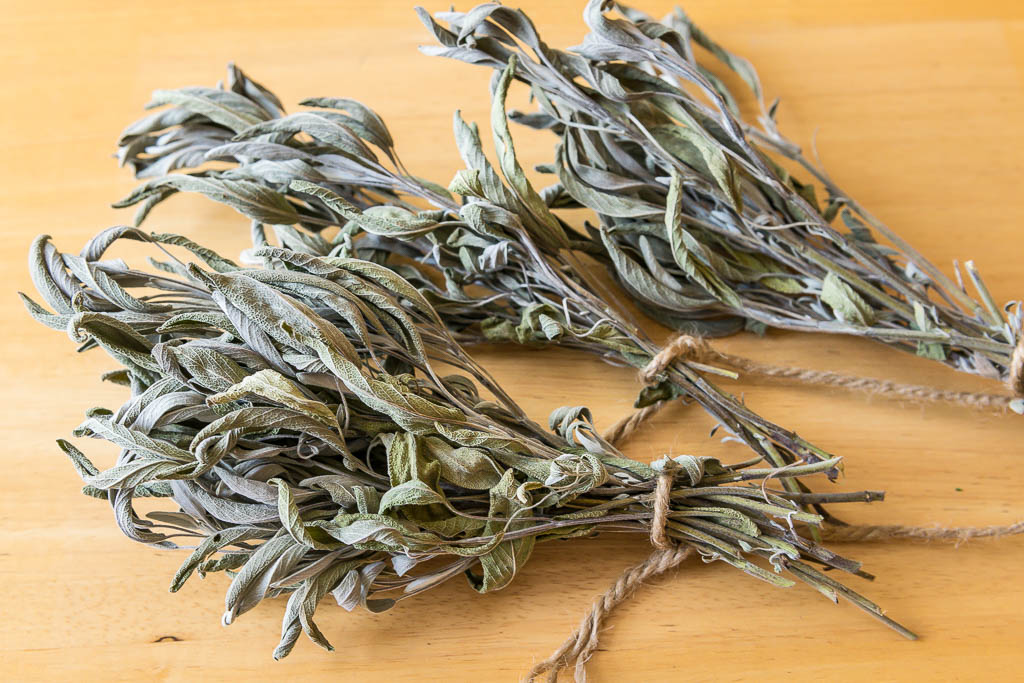Sauge séchée sur tige - 10g