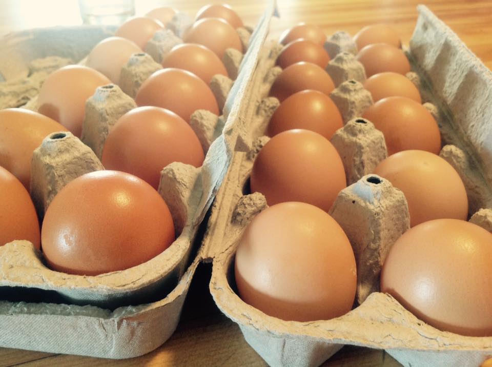 Oeufs Bruns de Poules en Liberté nourries à la moulée Biologiques - 1dz