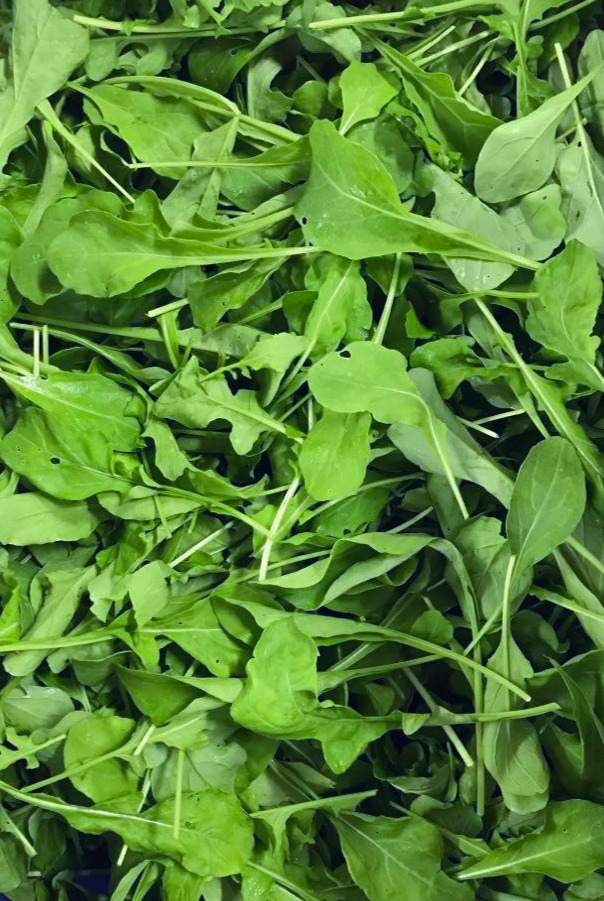 Roquette - sac de 140g