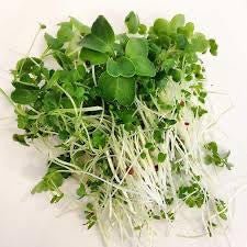 Micro-pousses Mélanges Pois et Crucifères - 75g