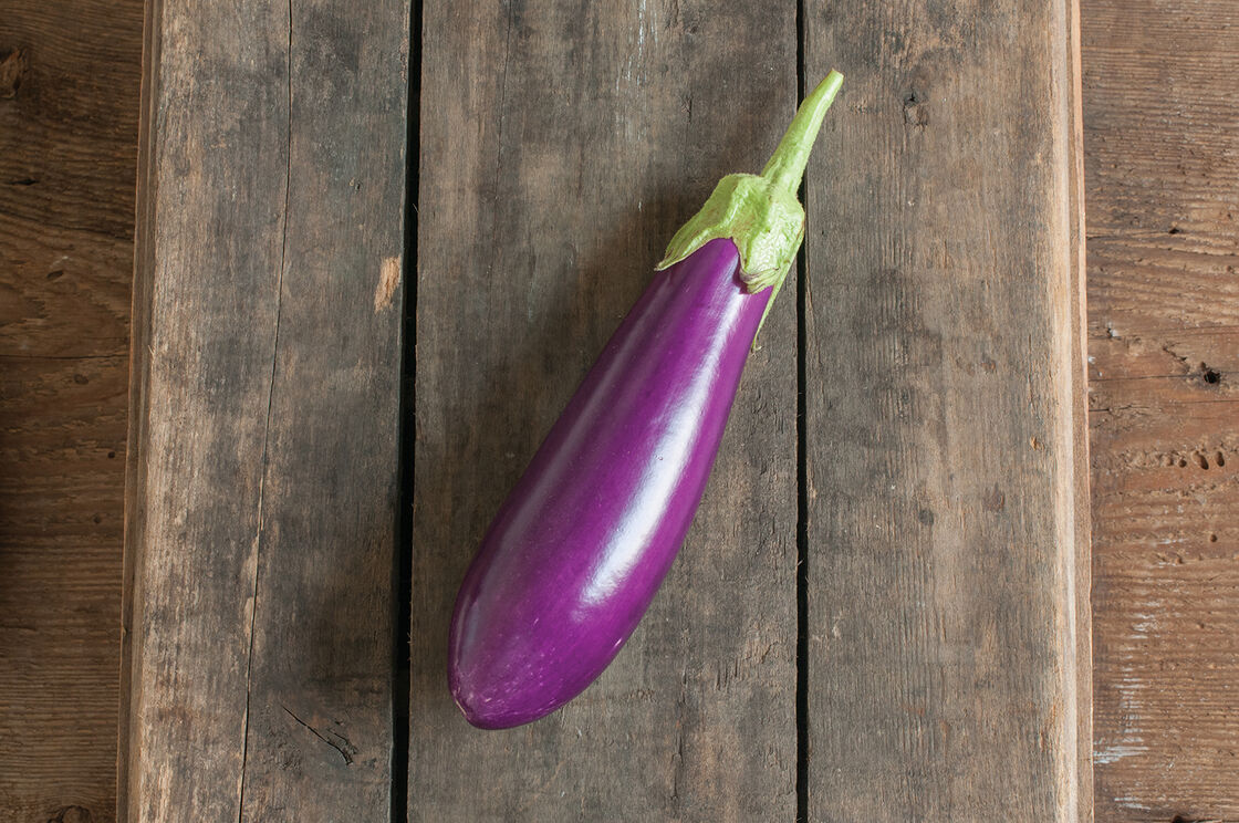 Aubergines Dancer - 1 unité
