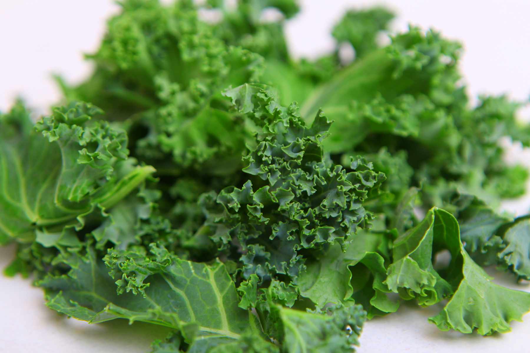 Kale frisé vert - 1 bouquet