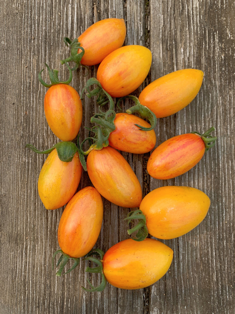 Tomates cerises BLUSH (variété artisan) - 1 casseau