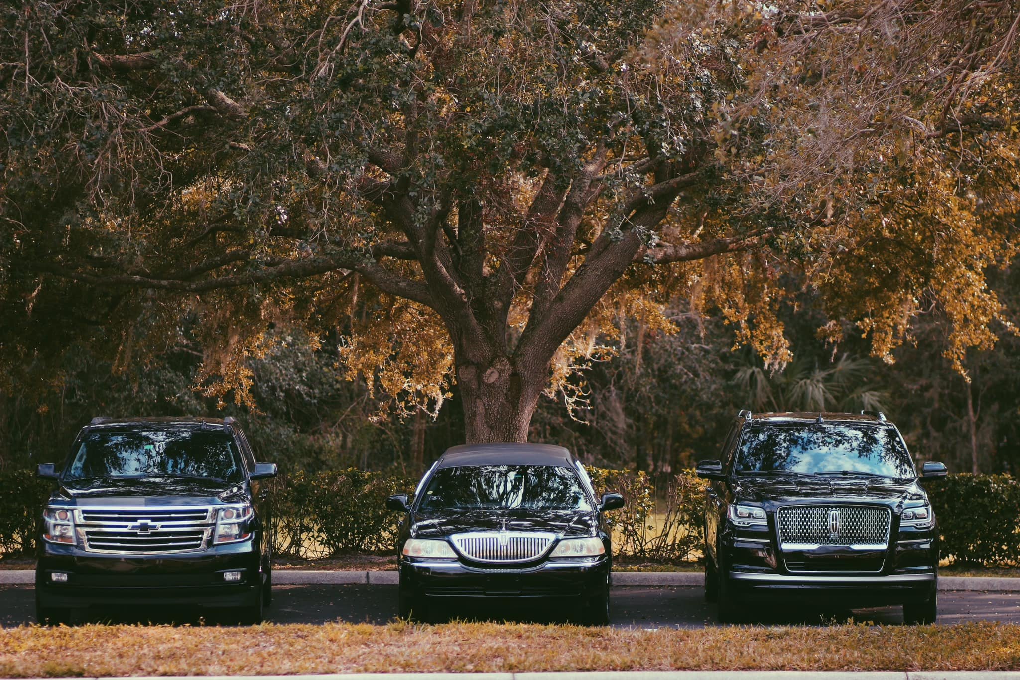 Black stretch limousine from Garcia’s Events and Limos arriving for a special occasion
