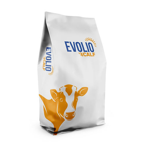 Evolio Calf mock-up.jpg