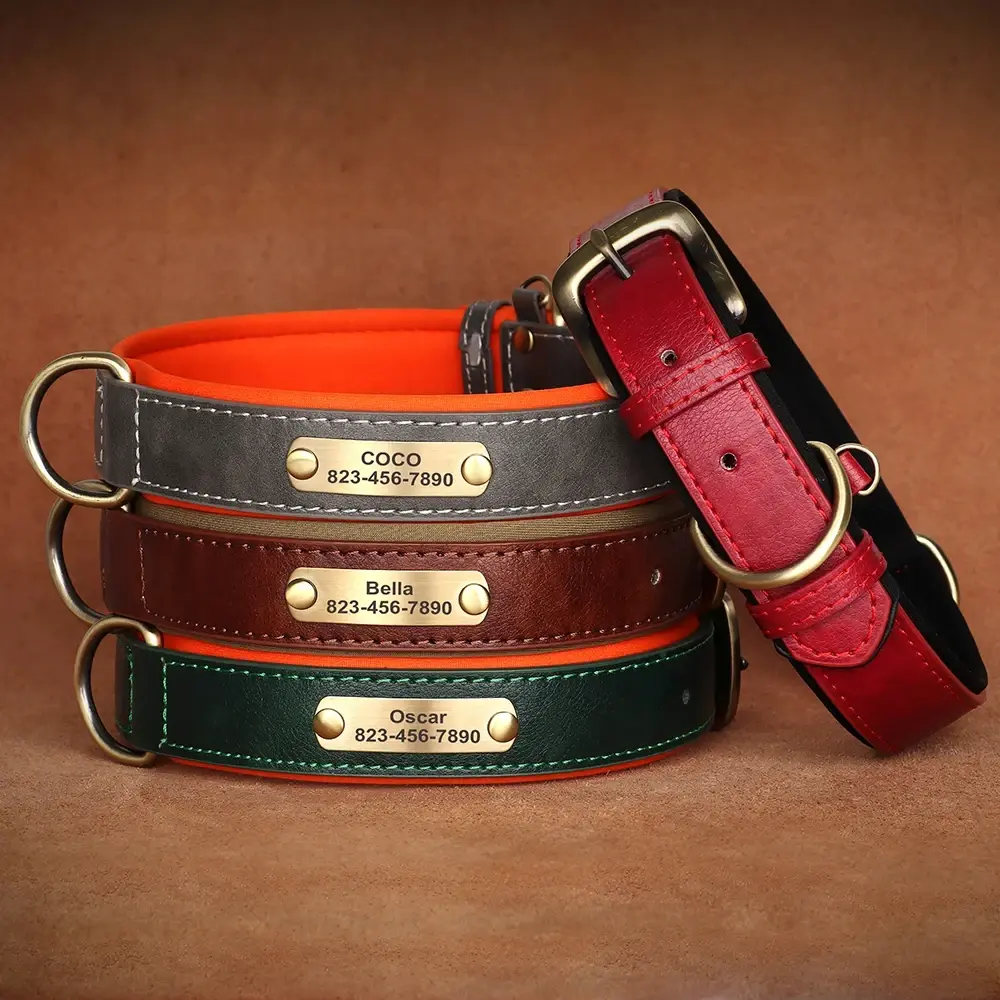 Personalized Customized Leather ID Nameplate Dog Collar Soft Padded Dogs Collars