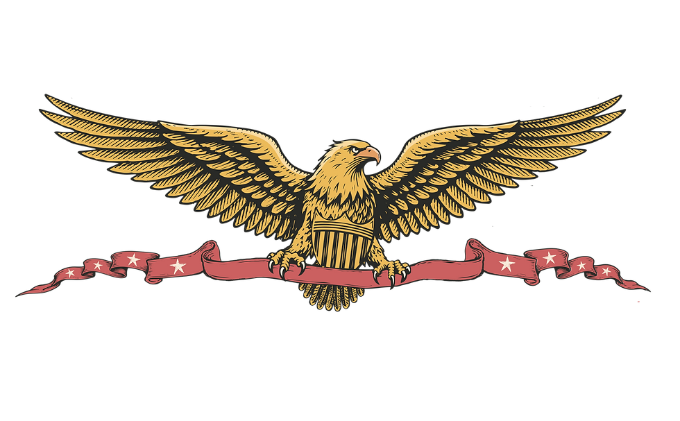 All American Eagle.png