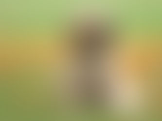 Copy of Test Scheduled post