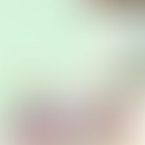 Jessie James: The Last Rebel of the Civil War