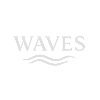 Nowe logo WAVES z falÄ…_edited_edited_edi