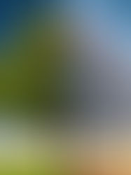 Stress: Normal vs High