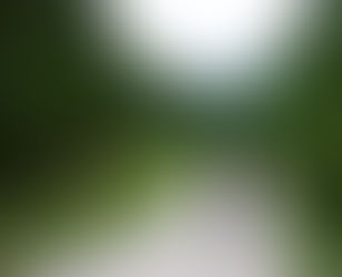 Day Sixty-One: Birmingham - Cedar Town, GA