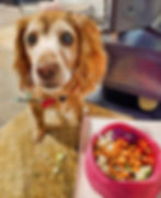 Pimmy's superfood bowl