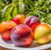 peaches