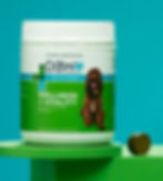 PAW by Blackmores Wellness + Vitality Multivitamin Dog Chews!