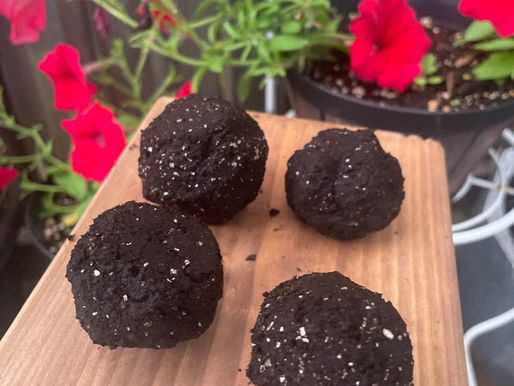 Bursts of Blooms: How to Make Flower Power Seed Bombs