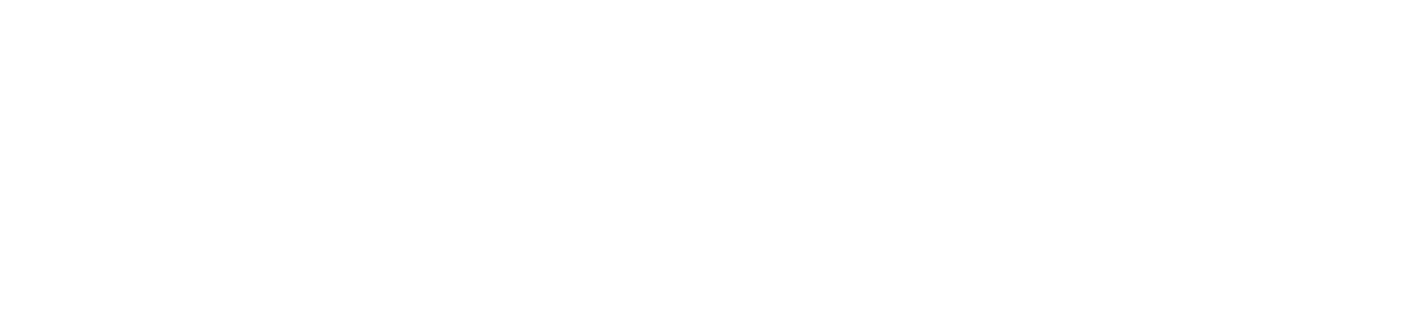 NEIUwhitelogo2024.png