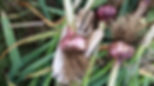 20151110_175955.jpg