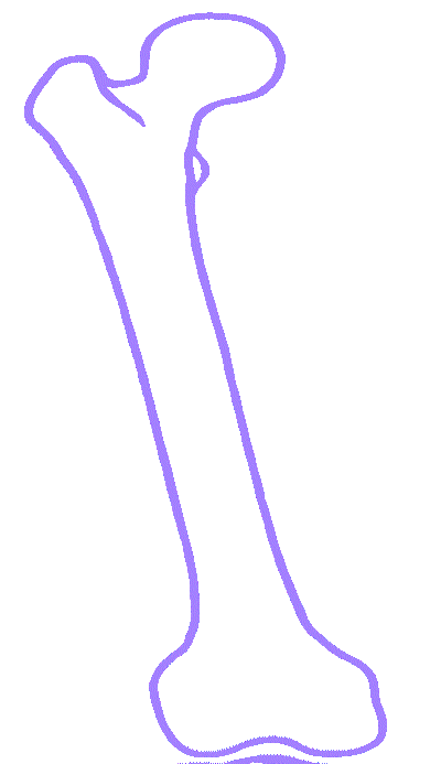 P3.GIF