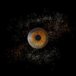 irisfoto-indisch-oog-bruin-met-grijs