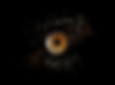 Hoe wordt een irisfoto gemaakt?