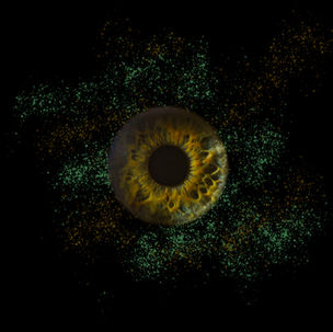 irisfoto-groen-geel-macrofotografie