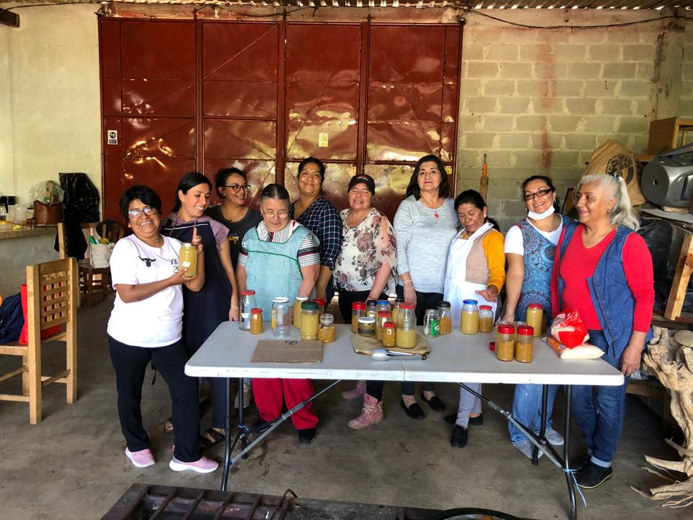 JUNTAS