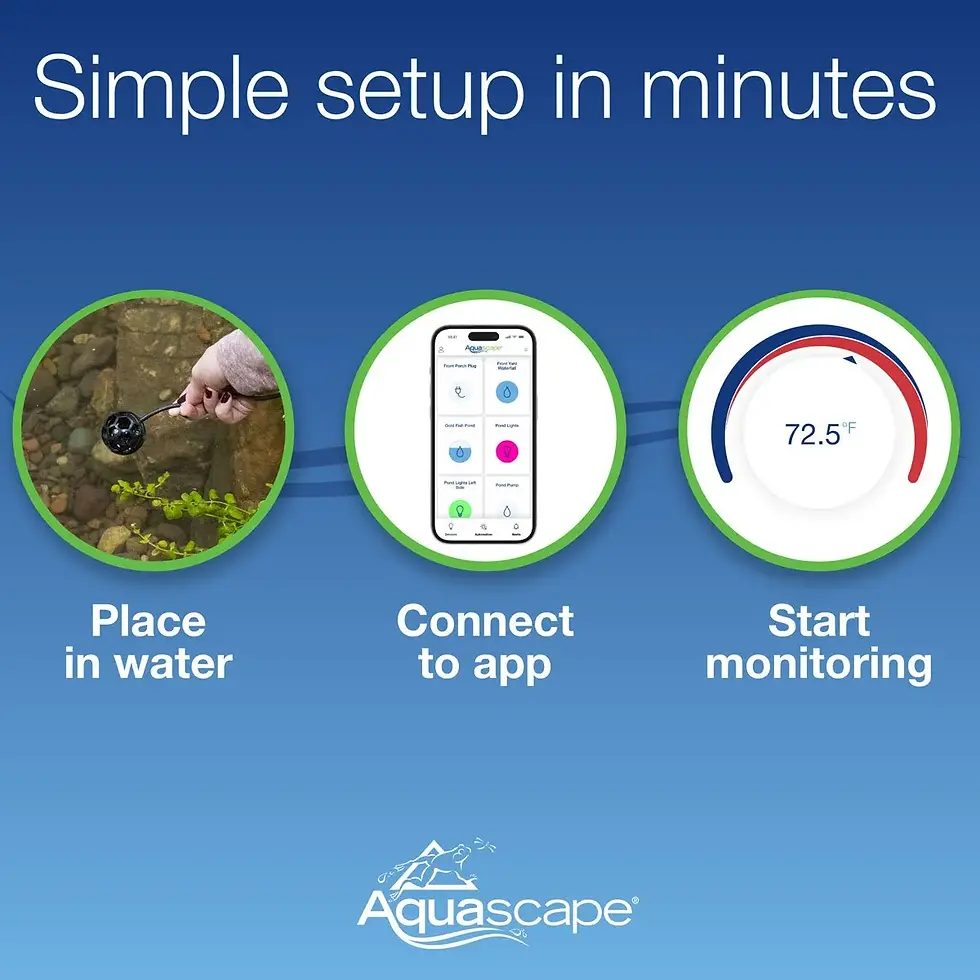 Thumbnail: Smart Pond Thermometer