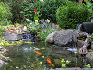 What Size Pump Does My Pond Need?