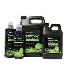 BactiMAX+