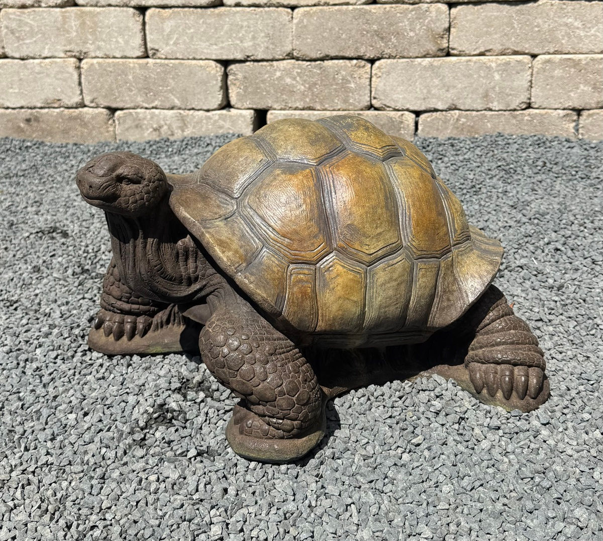 Concrete Turtle