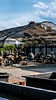 DSC05634-2.jpg