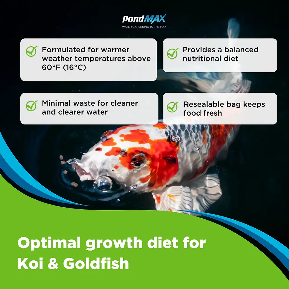 Thumbnail: PondMAX Premium Staple Growth