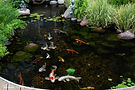 Torson_Naperville_2020_003_1.jpg