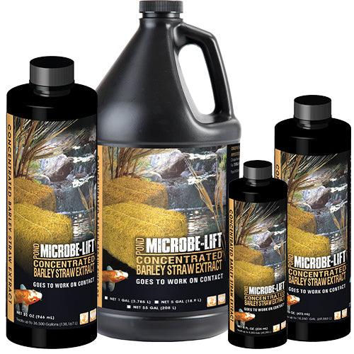 Barley Straw Concentrated Extract