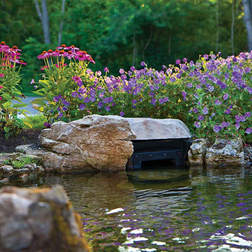 Thumbnail: Atlantic Oasis Skimmer 6-Inch Weir