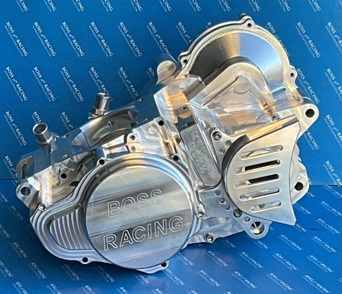 ATC/TRX 250r  Billet cases 