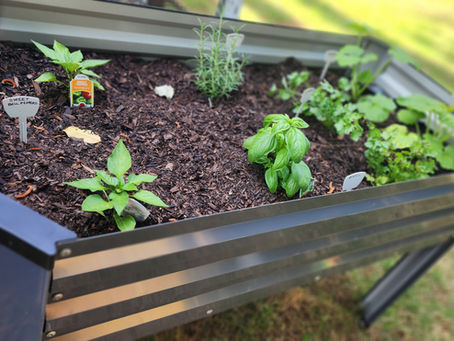 Raised garden bed from Amazon