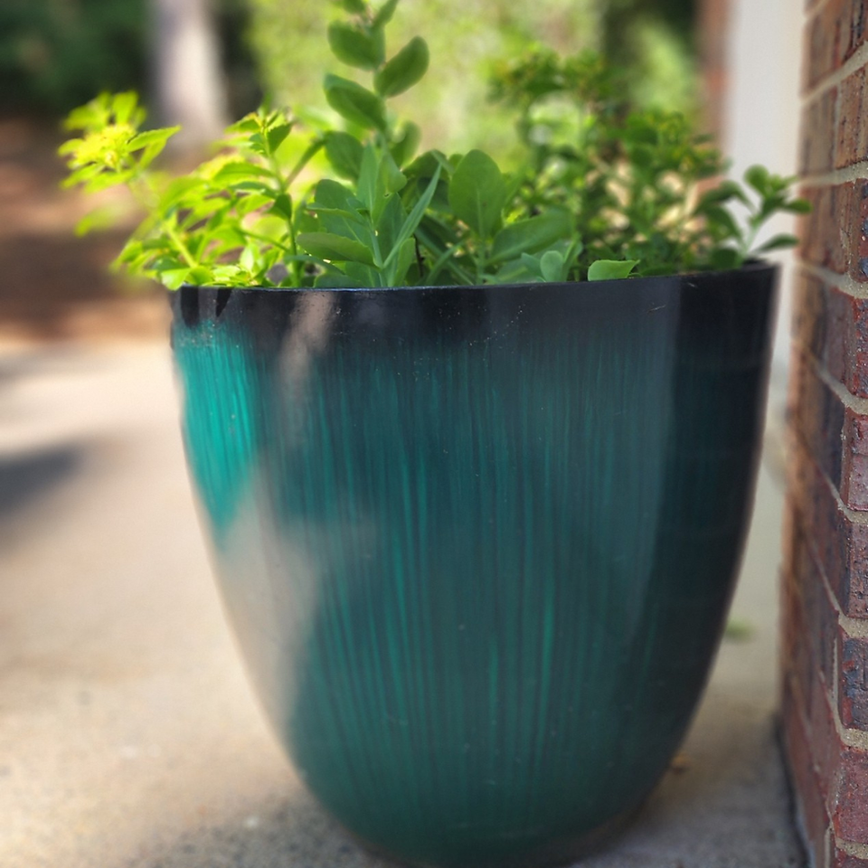 Colorful fiberglass planter from Amazon