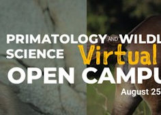 Primatology and Wildlife Science Virtual Open Campus 2026, August 25th