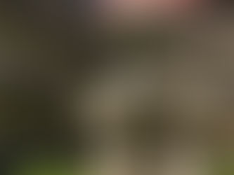 Srpen 2025: Příznivé a nepříznivé sektory