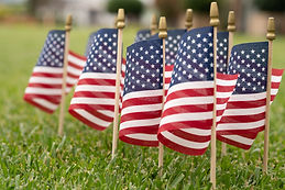 American_Flags_On_Grass_original_600086.jpg