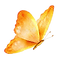 image_edited.png