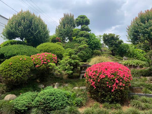 丸家に残る江戸時代からの風景に想うこと