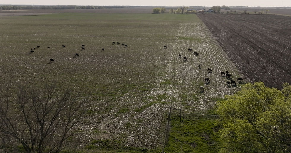 open land