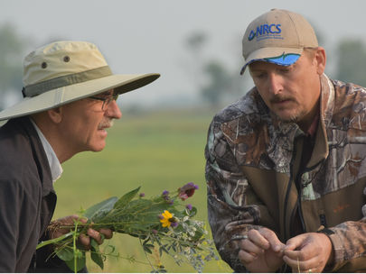 Resilience Rodeo - Jay Hermann - the importance of seeing positives & negatives to guide producers