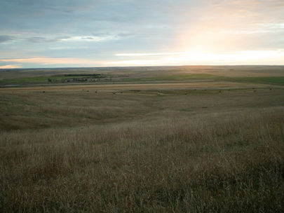 Grazing Management Bus Tour