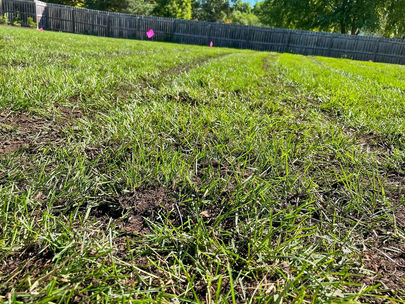 From the Ground Up: Johnston, Iowa’s Soil Health Revolution for a Resilient Future