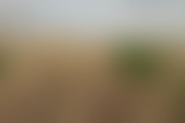 Cover Crop Farming Gets National Exposure