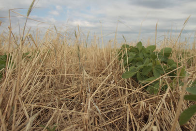 Cover Crop Farming Gets National Exposure
